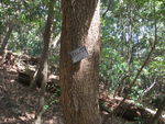 DSCF0131_hh.jpg