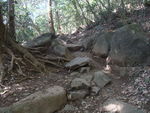 DSCF0132_hh.jpg