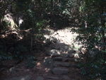 DSCF0134_hh.jpg