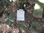 DSCF0135_hh.jpg