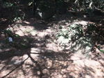 DSCF0136_hh.jpg