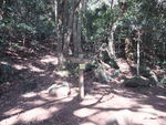 DSCF0137_hh.jpg