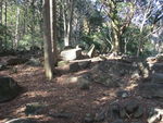 DSCF0139_hh.jpg