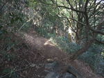 DSCF0140_hh.jpg