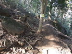 DSCF0141_hh.jpg