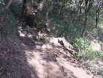 DSCF0143_hh.jpg