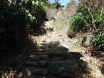 DSCF0147_hh.jpg