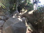 DSCF0158_hh.jpg