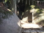 DSCF0159_hh.jpg