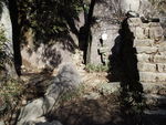 DSCF0163_hh.jpg