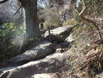 DSCF0169_hh.jpg