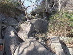 DSCF0172_hh.jpg