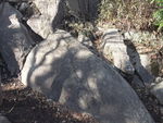 DSCF0173_hh.jpg