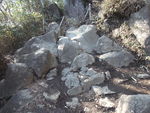 DSCF0174_hh.jpg