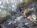 DSCF0175_hh.jpg