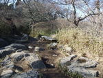 DSCF0178_hh.jpg
