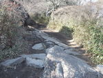 DSCF0179_hh.jpg