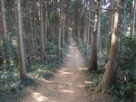DSCF0427_hh.jpg