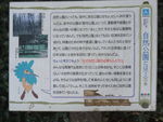 DSCF0428_hh.jpg