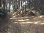 DSCF0429_hh.jpg