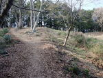 DSCF0430_hh.jpg