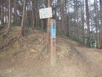 DSCF0434_hh.jpg