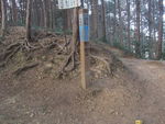 DSCF0435_hh.jpg