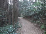 DSCF0436_hh.jpg