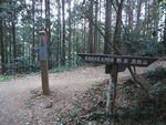DSCF0437_hh.jpg