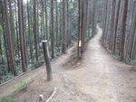 DSCF0438_hh.jpg