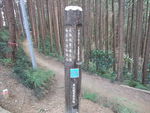 DSCF0439_hh.jpg