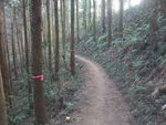 DSCF0440_hh.jpg