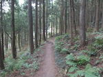 DSCF0442_hh.jpg