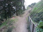 DSCF0443_hh.jpg