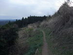DSCF0446_hh.jpg