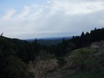 DSCF0447_hh.jpg
