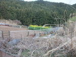 DSCF0448_hh.jpg