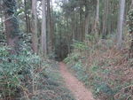 DSCF0450_hh.jpg