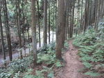 DSCF0451_hh.jpg