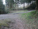 DSCF0452_hh.jpg