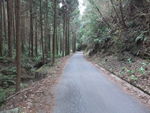 DSCF0453_hh.jpg