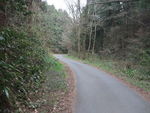 DSCF0454_hh.jpg