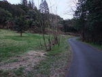 DSCF0456_hh.jpg