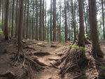 DSCF0606_hh.jpg