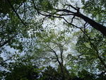 DSCF0612_hh.jpg
