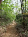 DSCF0625_hh.jpg