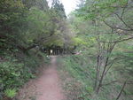 DSCF0637_hh.jpg
