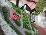 DSCF0678_hh.jpg