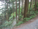 DSCF0682_hh.jpg