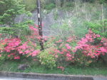 DSCF0702_hh.jpg